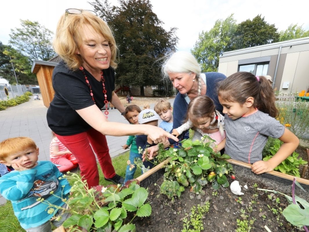 Kita Portal Aachen Day Care Center Stadt Tageseinrichtung